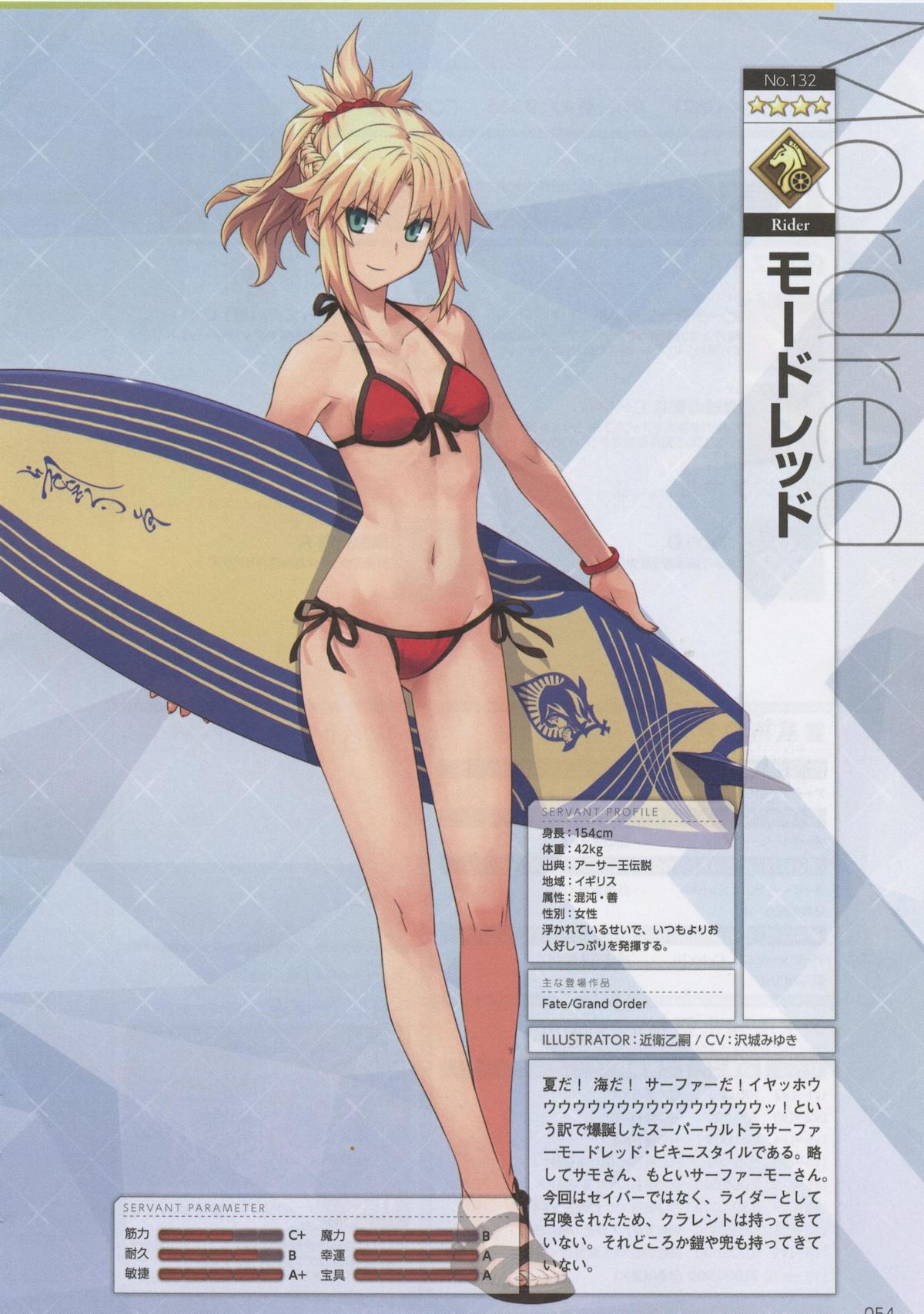 Konoe Ototsugu Fate Grand Order Mordred Fate Bikini Cleavage Profile